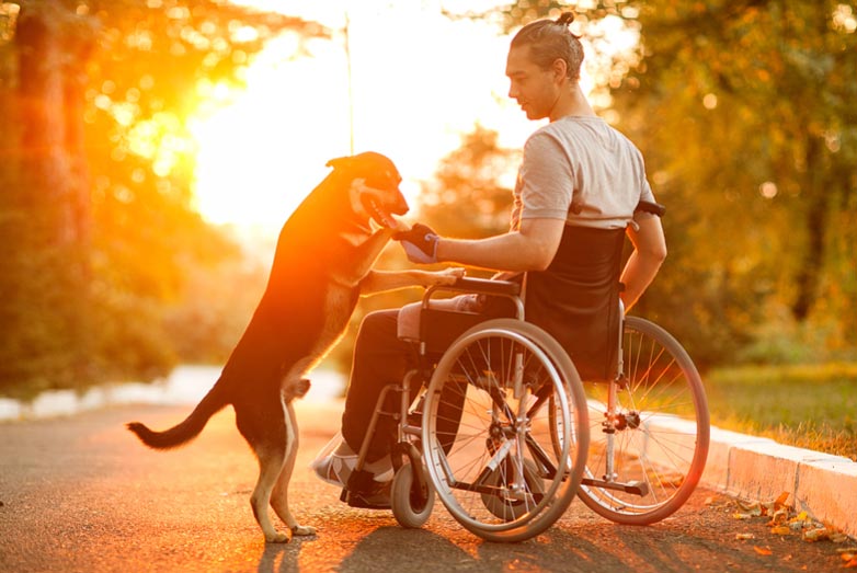 Mobility Products