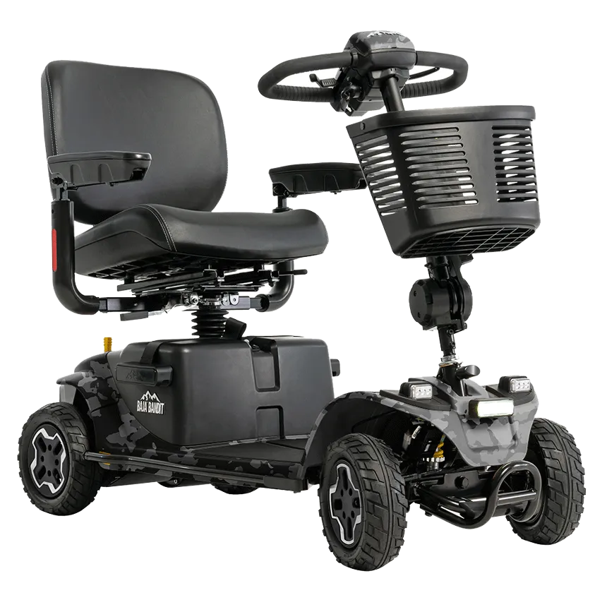 Baja® Bandit 4-Wheel