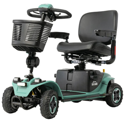 Baja® Bandit 4-Wheel