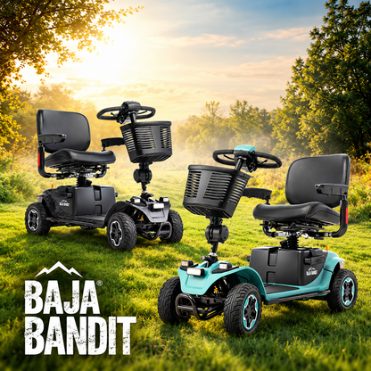 Baja® Bandit 4-Wheel