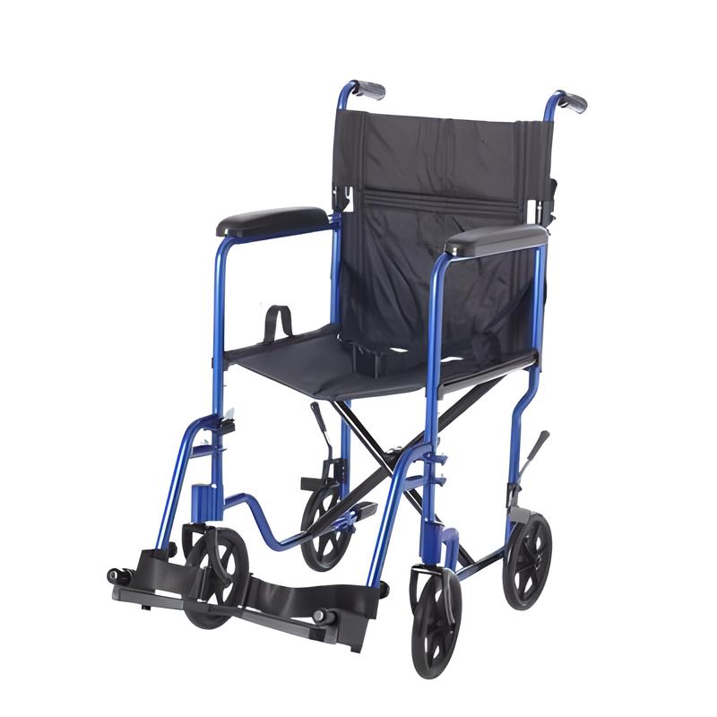 19" Steel Companion Chair-Blue